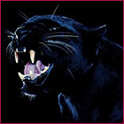 Korisnikov avatar