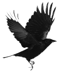 Korisnikov avatar