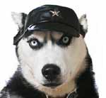 Korisnikov avatar