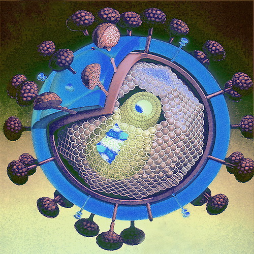 Virus HIV-a